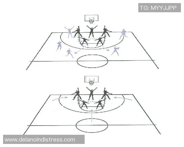 深入分析杭州篮球队的防守策略与战术特点
