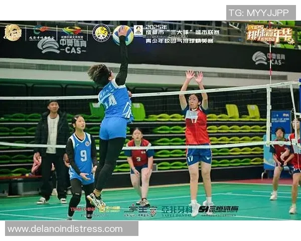 聚焦排球:成都排球队的实力话题