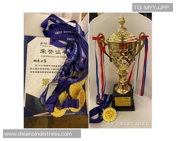 选拔赛积分榜：南京羽毛球队以76分领跑